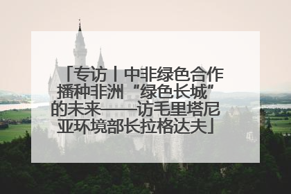 专访丨中非绿色合作播种非洲“绿色长城”的未来——访毛里塔尼亚环境部长拉格达夫