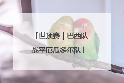 世预赛｜巴西队战平厄瓜多尔队