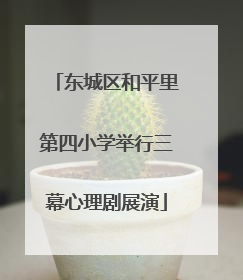东城区和平里第四小学举行三幕心理剧展演