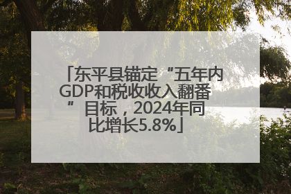 东平县锚定“五年内GDP和税收收入翻番”目标，2024年同比增长5.8%
