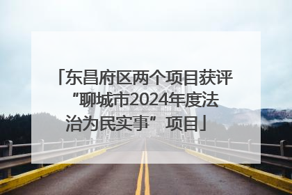 东昌府区两个项目获评“聊城市2024年度法治为民实事”项目