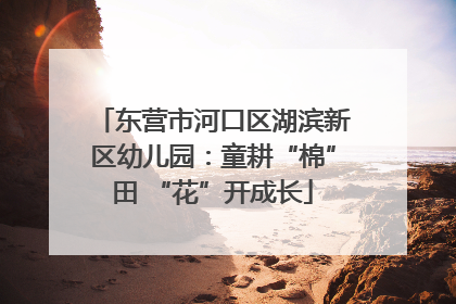 东营市河口区湖滨新区幼儿园：童耕“棉”田 “花”开成长