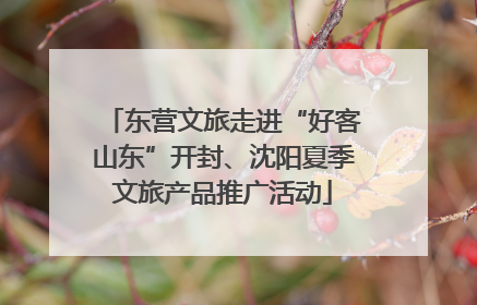 东营文旅走进“好客山东”开封、沈阳夏季文旅产品推广活动