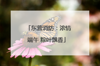 东营消防：浓情端午 粽叶飘香
