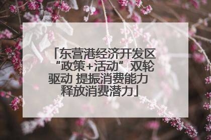 东营港经济开发区“政策+活动”双轮驱动 提振消费能力 释放消费潜力