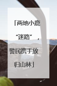 两地小鹿“迷路”，警民携手放归山林