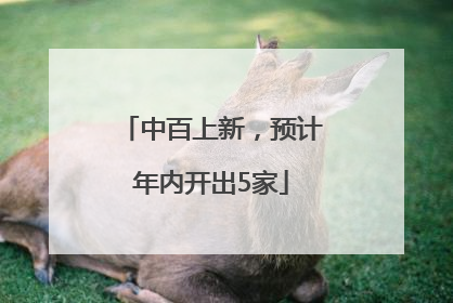 中百上新，预计年内开出5家