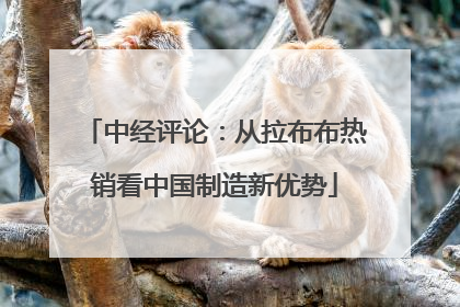 中经评论：从拉布布热销看中国制造新优势