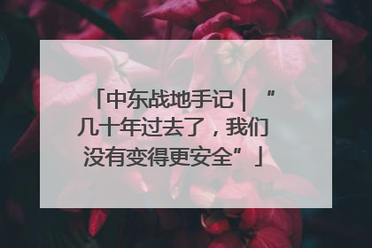 中东战地手记｜“几十年过去了，我们没有变得更安全”