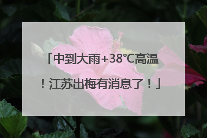 中到大雨+38℃高温！江苏出梅有消息了！