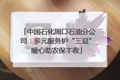 中国石化周口石油分公司：多元服务护“三夏” 暖心助农保丰收