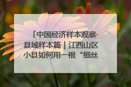 中国经济样本观察·县域样本篇｜江西山区小县如何用一根“细丝”拉出百亿级产业？