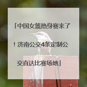 中国女篮热身赛来了！济南公交4条定制公交直达比赛场地
