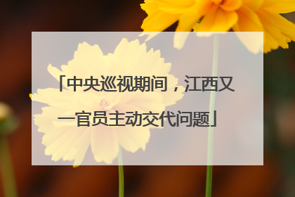 中央巡视期间，江西又一官员主动交代问题