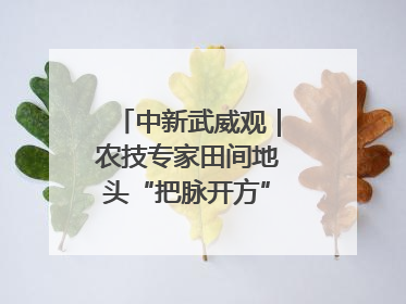 中新武威观｜农技专家田间地头“把脉开方”送“及时雨”
