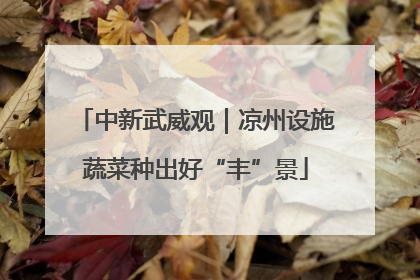 中新武威观｜凉州设施蔬菜种出好“丰”景