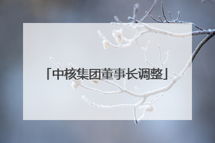 中核集团董事长调整