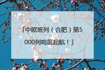 中欧班列（合肥）第5000列鸣笛起航！