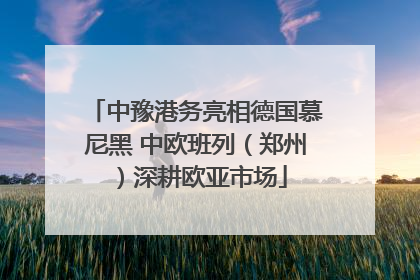 中豫港务亮相德国慕尼黑 中欧班列（郑州）深耕欧亚市场