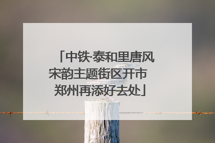 中铁·泰和里唐风宋韵主题街区开市 郑州再添好去处