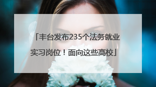 丰台发布235个法务就业实习岗位！面向这些高校
