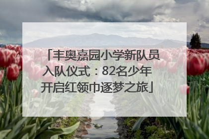 丰奥嘉园小学新队员入队仪式：82名少年开启红领巾逐梦之旅