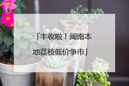丰收啦！闽南本地荔枝低价争市
