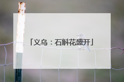 义乌：石斛花盛开