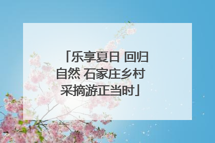 乐享夏日 回归自然 石家庄乡村采摘游正当时