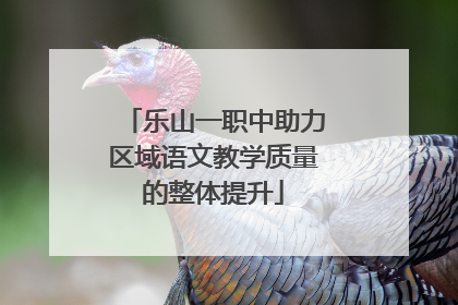 乐山一职中助力区域语文教学质量的整体提升