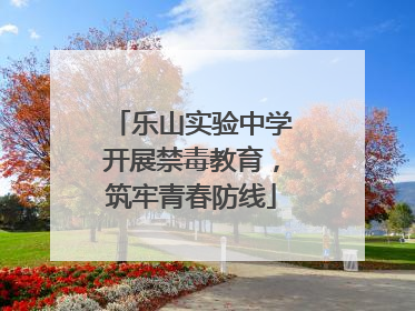 乐山实验中学开展禁毒教育，筑牢青春防线