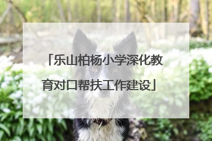 乐山柏杨小学深化教育对口帮扶工作建设