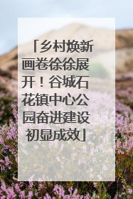 乡村焕新画卷徐徐展开！谷城石花镇中心公园奋进建设初显成效