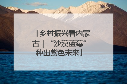 乡村振兴看内蒙古｜“沙漠蓝莓”种出紫色未来