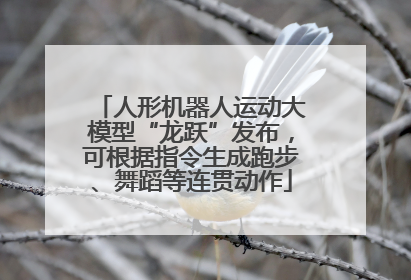 人形机器人运动大模型“龙跃”发布，可根据指令生成跑步、舞蹈等连贯动作