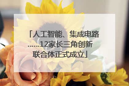 人工智能、集成电路……12家长三角创新联合体正式成立