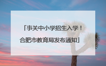 事关中小学招生入学！合肥市教育局发布通知
