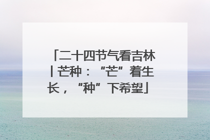 二十四节气看吉林丨芒种：“芒”着生长，“种”下希望