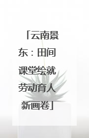 云南景东：田间课堂绘就劳动育人新画卷