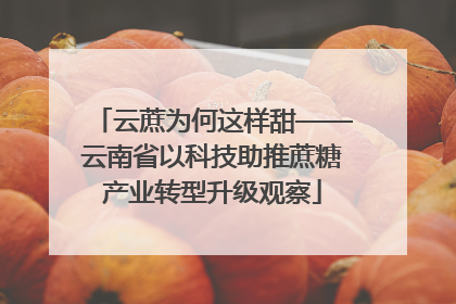 云蔗为何这样甜——云南省以科技助推蔗糖产业转型升级观察
