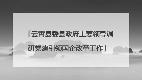 云霄县委县政府主要领导调研党建引领国企改革工作