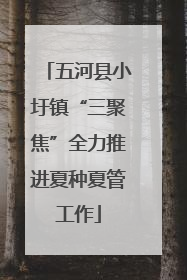 五河县小圩镇“三聚焦”全力推进夏种夏管工作