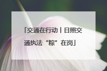 交通在行动丨日照交通执法“粽”在岗