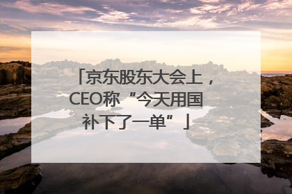 京东股东大会上，CEO称“今天用国补下了一单”
