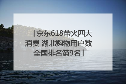 京东618带火四大消费 湖北购物用户数全国排名第9名