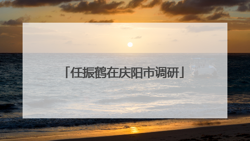 任振鹤在庆阳市调研