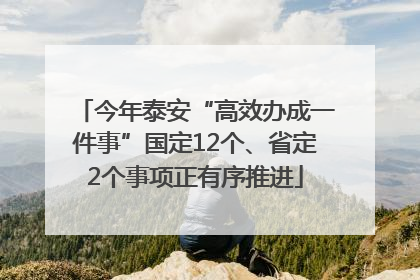 今年泰安“高效办成一件事”国定12个、省定2个事项正有序推进