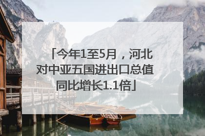 今年1至5月，河北对中亚五国进出口总值同比增长1.1倍