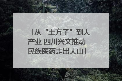 从“土方子”到大产业 四川兴文推动民族医药走出大山