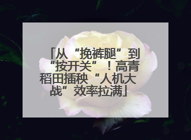从“挽裤腿”到“按开关”！高青稻田插秧“人机大战”效率拉满